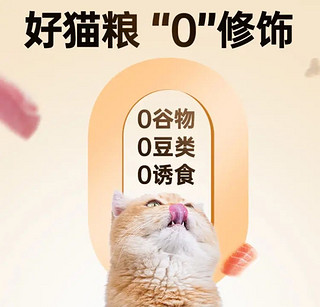 猫咪成长必备！金装好主人猫粮