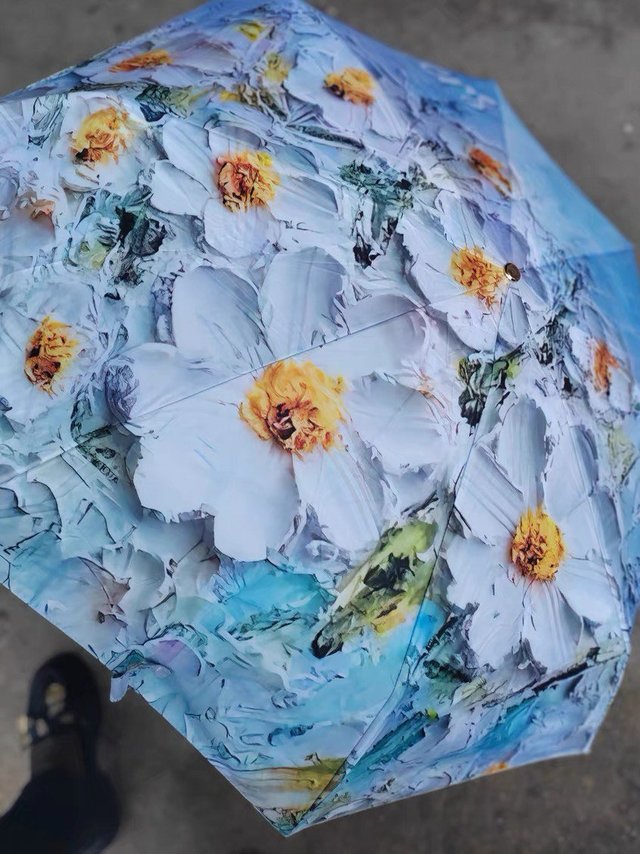 双层图案晴雨伞