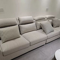 这款沙发以其简约而不失时尚的设计风格，深受现代家居装饰爱好者的喜爱。