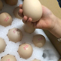 黄天鹅达到可生食鸡蛋标准 1.59kg/盒 PLUS定制款30枚精美礼盒装