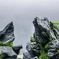 派乐特鱼缸青龙石松皮石溪流石造景石：打造自然生态的草缸假山微景观