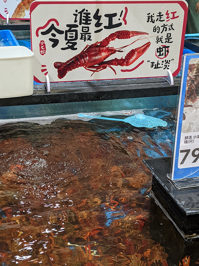 捞派虾类