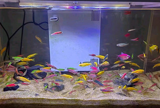 喜高超白玻璃鱼缸智能鱼缸免换水小型客厅水族箱一体式过滤氧气鱼缸