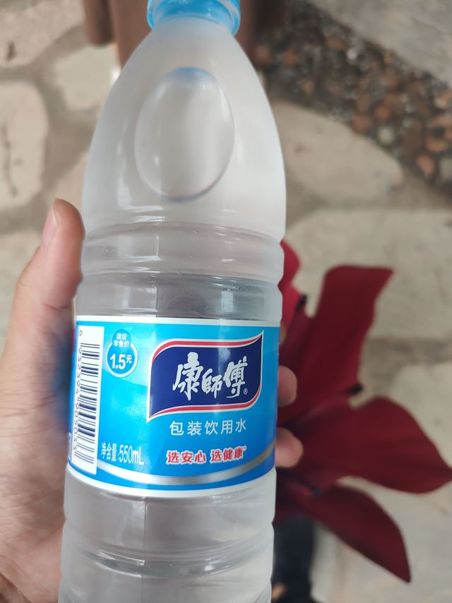建议零售价一块五的水,我在景区花了两块钱入手