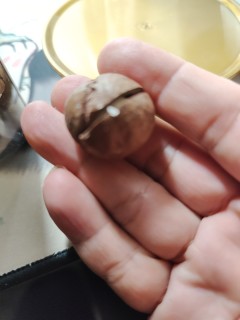比较不错的夏果