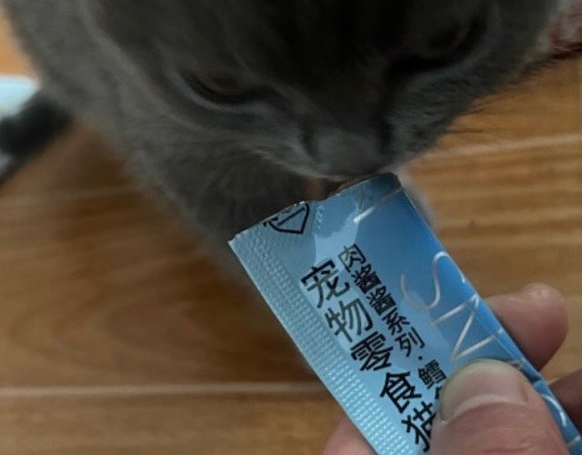 宠物零食