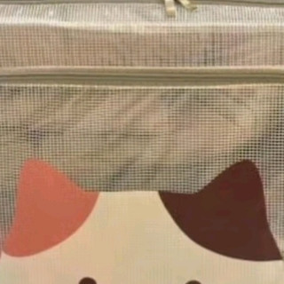 邦尼美家衣服透明收纳箱家用大容量可折叠衣柜整理箱大号棉被宿舍储物盒子