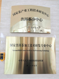 挑战传统普洱茶