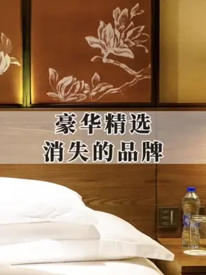 在国内水土不服的豪华精选，就是酒店圈青春的挽歌，中间还夹杂着时代的唏嘘。#酒店品牌 #万豪旅享家 #豪华精选酒店 #酒店控 #牧羊博士说酒店