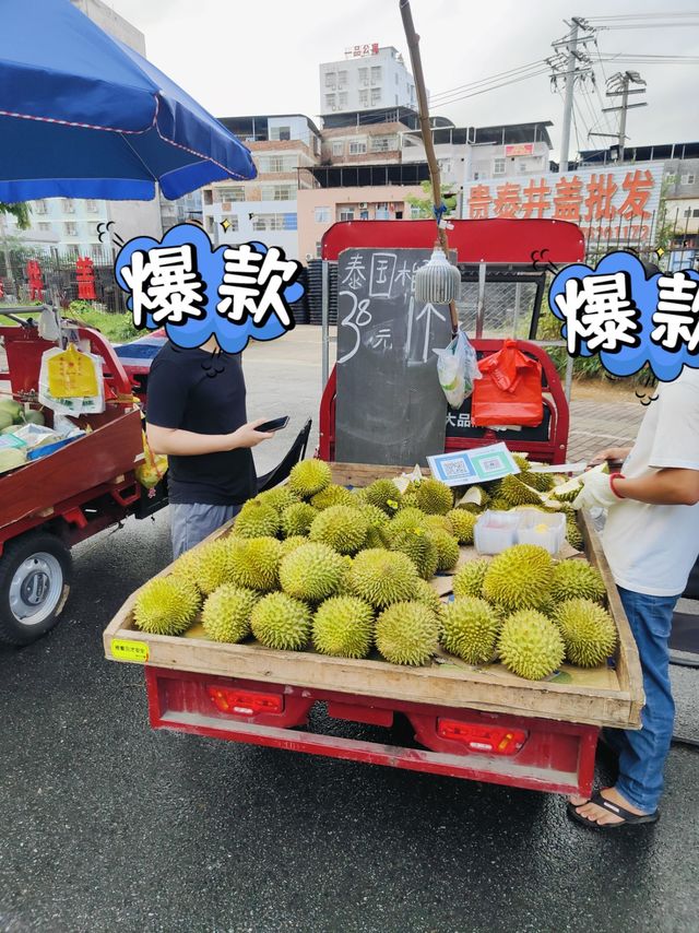 广西榴莲100块钱三个？广西真的实现水果自由啦？