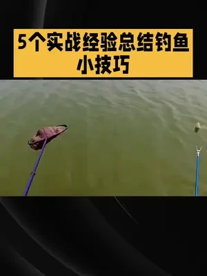 钓鱼超实用技巧#爱生活爱钓鱼 #钓鱼 #抖音钓鱼人 #分享钓鱼知识