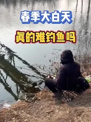 春季大白天真的难钓鱼吗#钓鱼#钓鱼技巧#钓鱼人#野钓#户外钓鱼