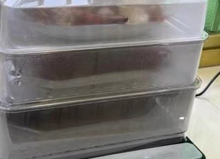 臻米折叠速蒸锅电蒸锅家用蒸汽锅小型多功能大容量三层多层电蒸箱