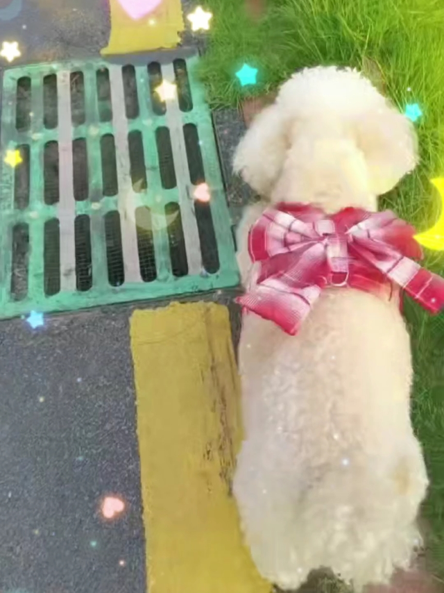 最好的运动搭子