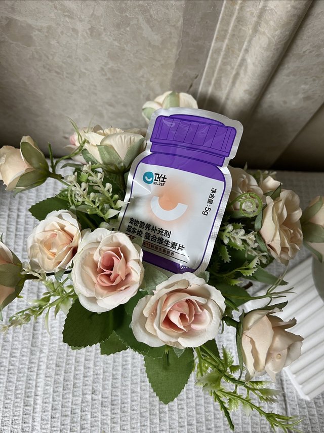 宠物2｜猫超1分钱翻牌的卫仕猫多维试吃装必须带回～