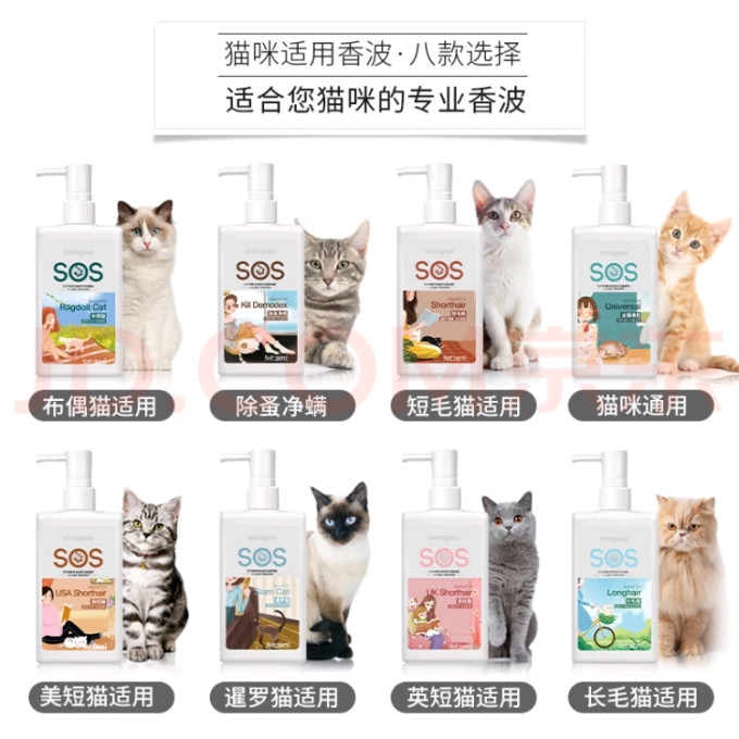 宠物洗护