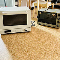 长帝S1风炉烤箱家用小型烘焙商用多功能发酵喷雾电烤箱光波炉欧包