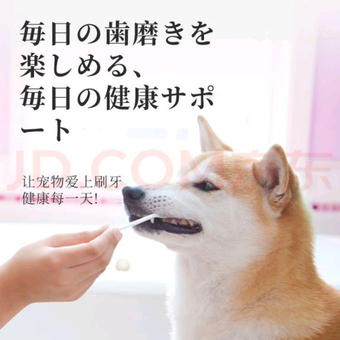 训导诱便/消毒除味