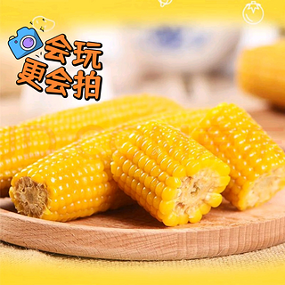 佟创东北黄糯玉米棒，性价比超高的甜糯玉米！
