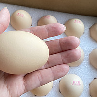 不是所有的鸡蛋都能称为黄天鹅！