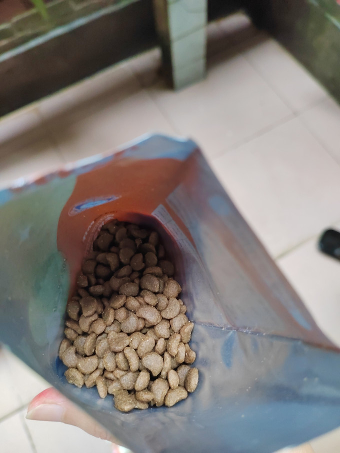 心粮猫咪干粮
