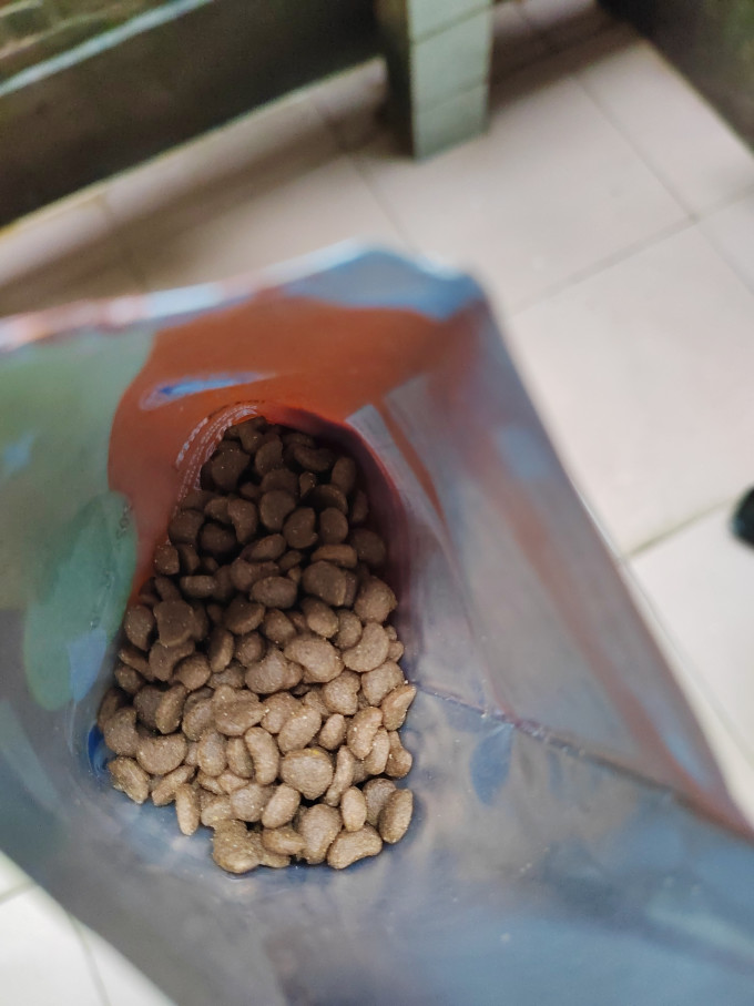 心粮猫咪干粮