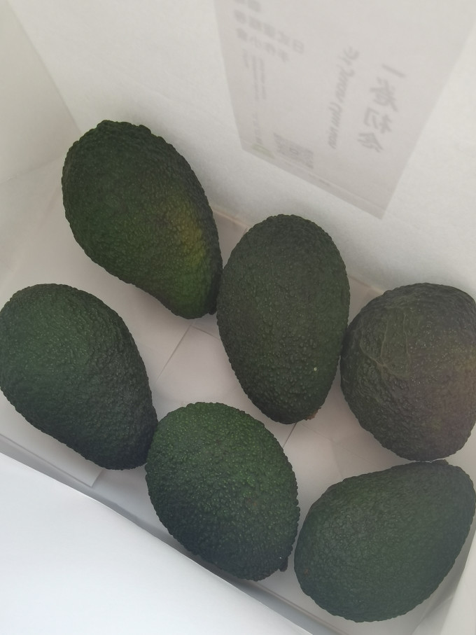 京觅牛油果