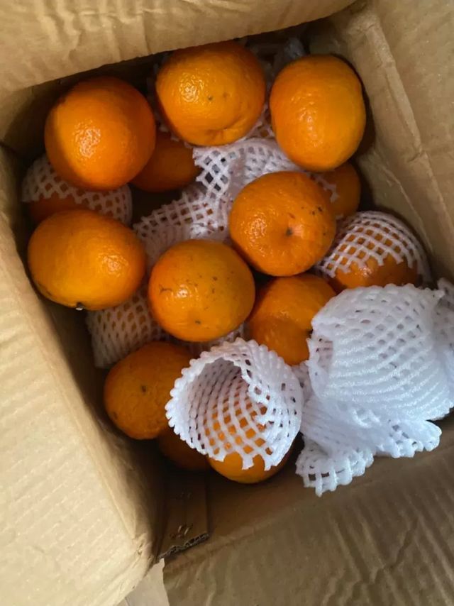 武鸣甜味沙糖桔