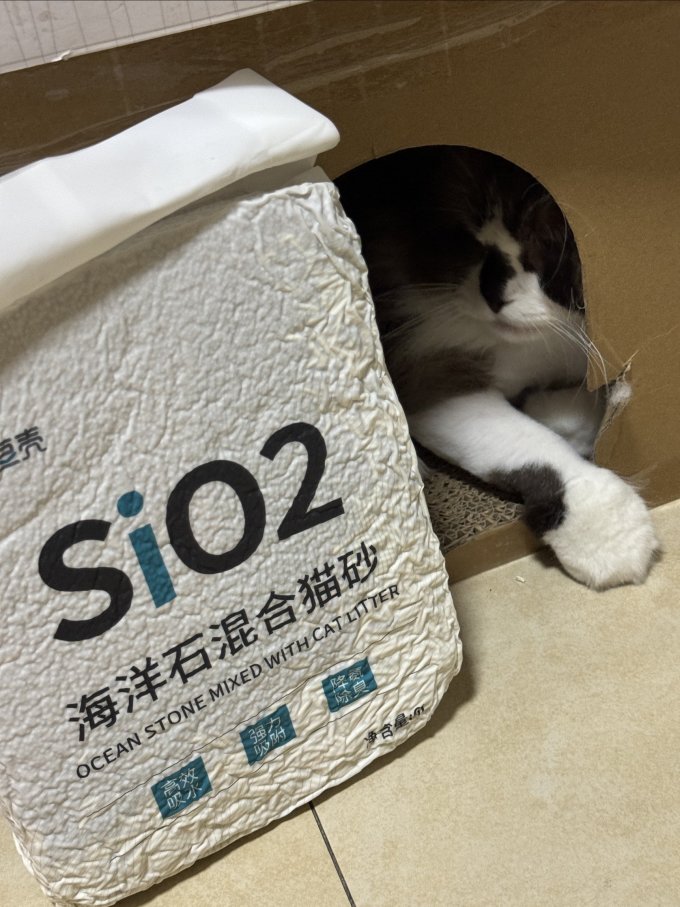 奥莉特猫砂