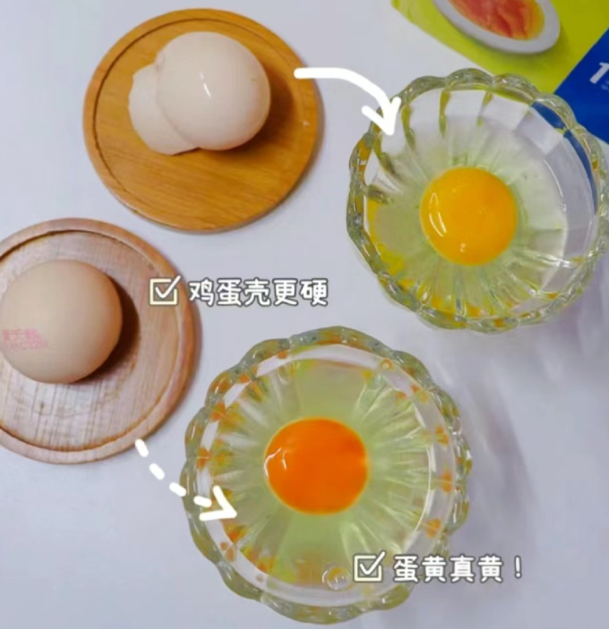黄天鹅禽蛋肉类