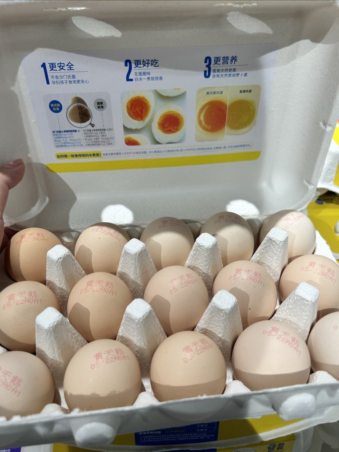 黄天鹅蛋类