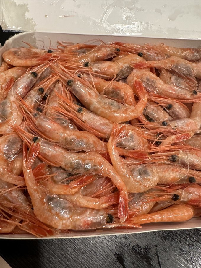 美加佳虾类