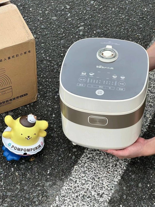 新家的100个快递，我的小熊微压电饭煲！