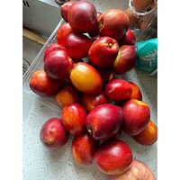 夏日油桃，品种大盘点