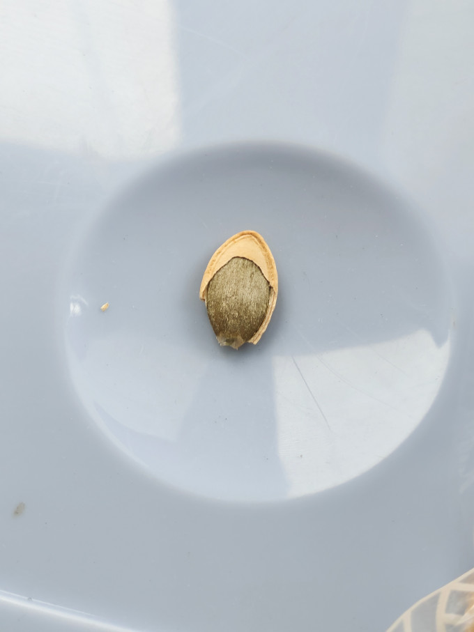 琦王坚果炒货