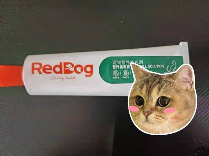 红狗宠物肠胃调理