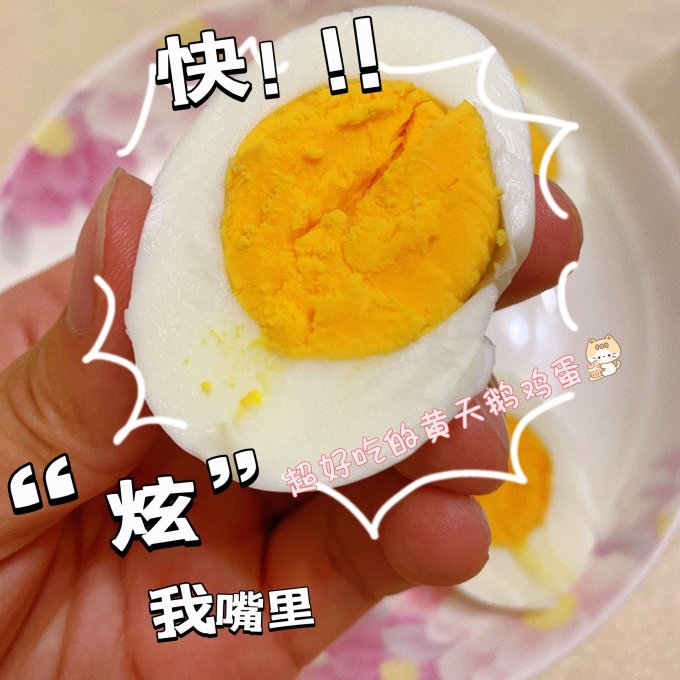 黄天鹅蛋类