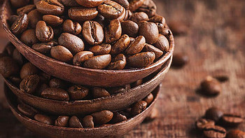 咖啡探索：发现你的专属咖啡豆风味