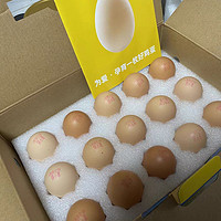 黄天鹅，用心培育每一颗蛋