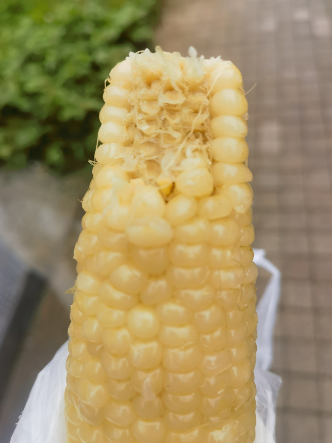 轻语拾光蔬菜