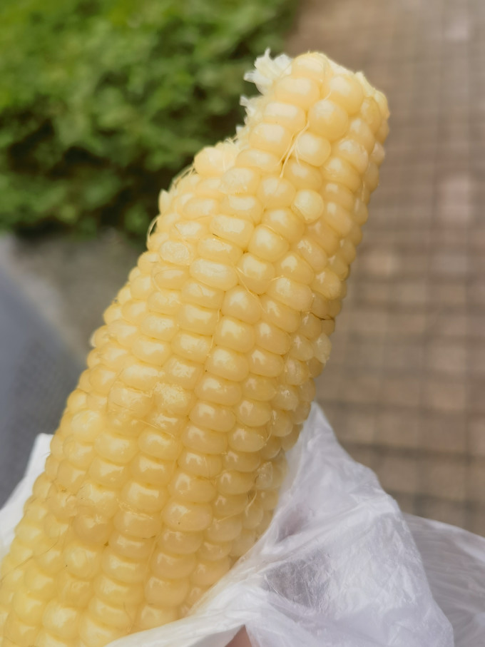轻语拾光蔬菜
