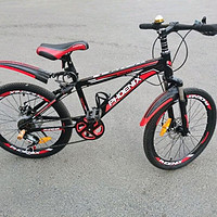 凤凰（Phoenix）儿童自行车山地车男女学生脚踏车6-15岁童车 霸道 黑红色 22寸