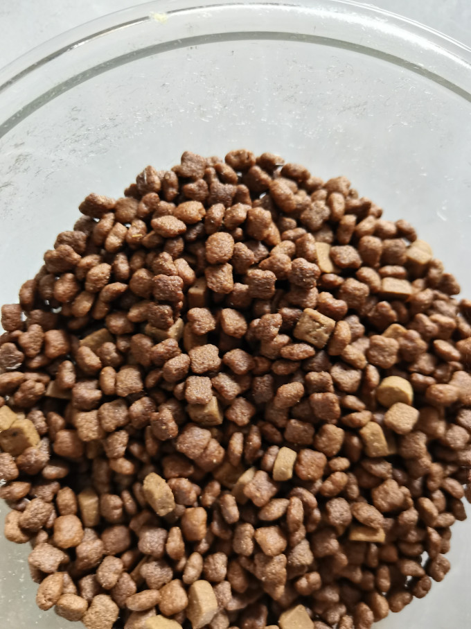 盒边猫咪干粮
