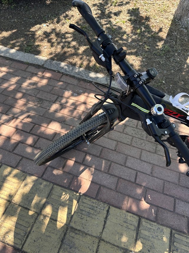 凤凰牌自行车，质优价廉，仗剑天涯