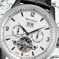 海鸥（SEAGULL）手表男士自动机械表的魅力