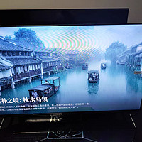 TCL 雷鸟雀5SE 43英寸高画质家庭防蓝光智能网络平板电视机