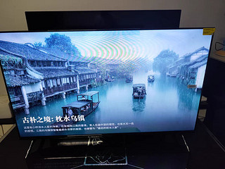 TCL 雷鸟雀5SE 43英寸高画质家庭防蓝光智能网络平板电视机