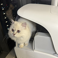 猫咪蹲蹲乐--3I智能猫砂舱 全自动封装净味猫砂盆