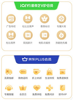 爱奇艺黄金VIP会员年卡加赠京东plus会员年卡 视频爱奇艺会员