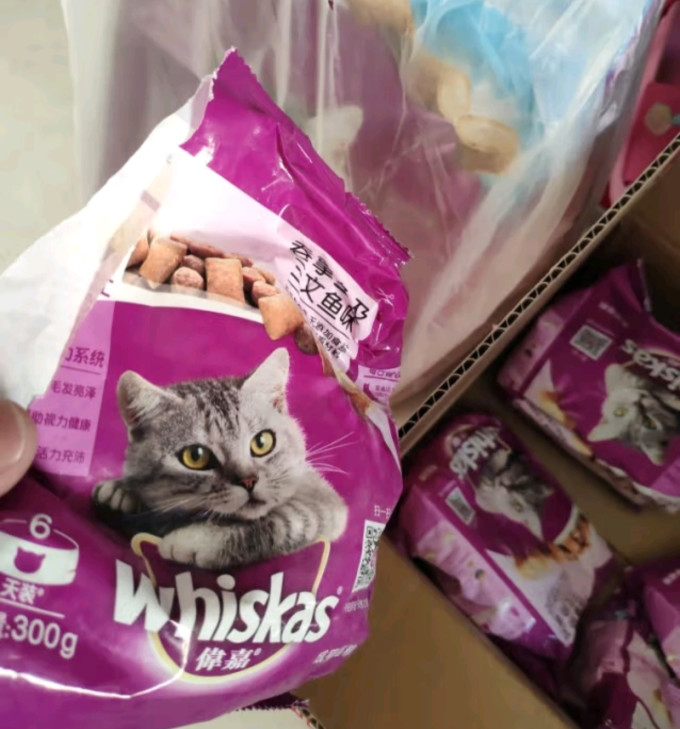 猫咪干粮